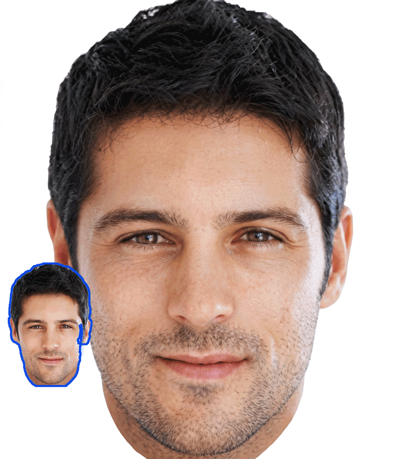 Face Restoration System